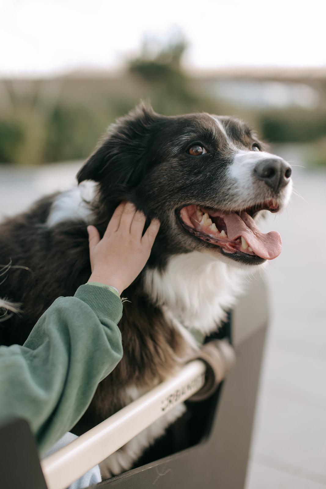 29492156-ef60-4ac0-a97c-5ee1de1cbd7e